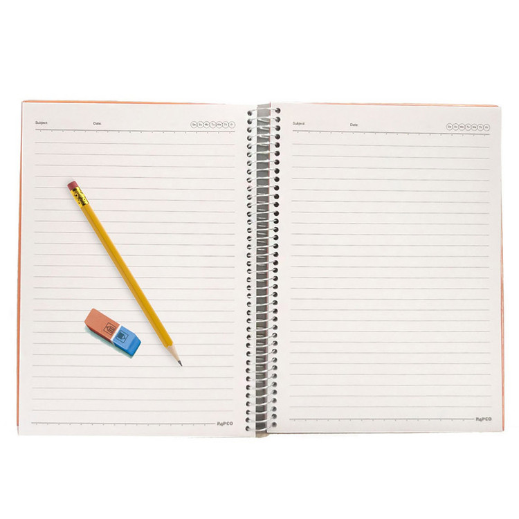 دفتر مشق 100 برگ پاپکو مدل PN-6170 کد DR506