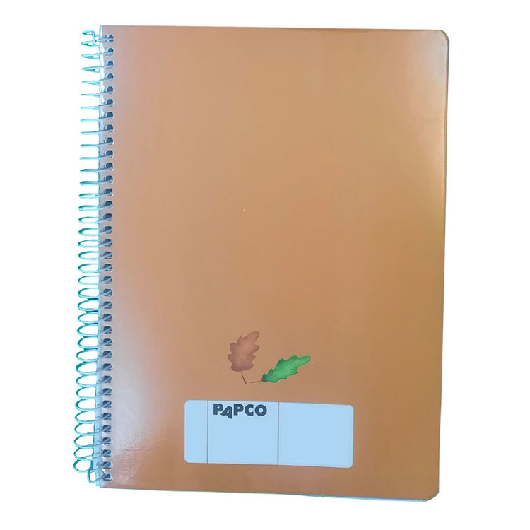 دفتر مشق 100 برگ پاپکو طرح PN-7170 کد DR511