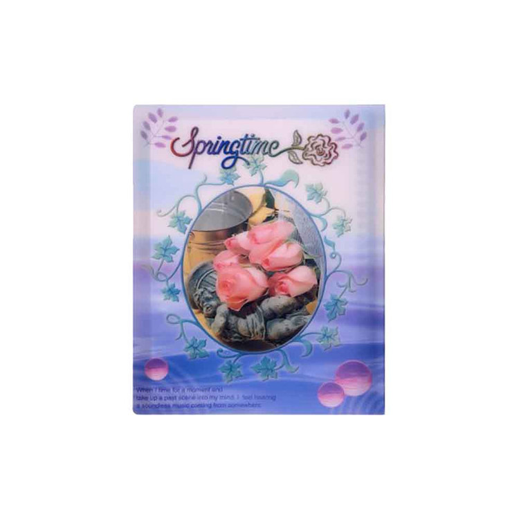 دفتر کلاسوری پاپکو کد NB-606