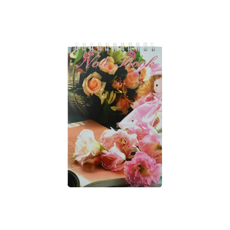 دفتر یادداشت پاپکو مدل NB-649-G کد DR16